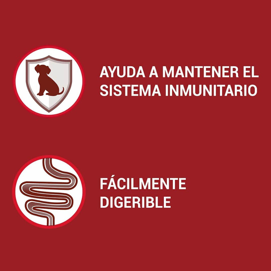 4 saquetas x 85 g One Adult Mini Small Multipack Frango e Cordeiro com molho em saquetas para c&atilde;es , , large Imagem n&uacute;mero 4